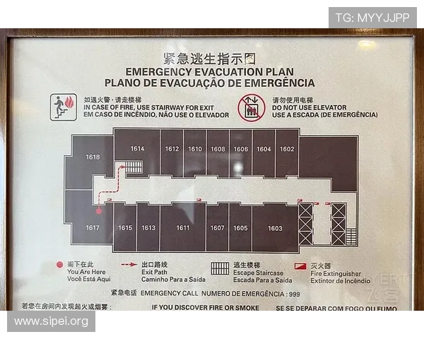 澳门娱乐城最佳娱乐体验指南：丰富游戏选择与高端服务推荐